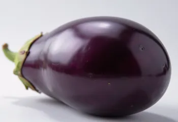 Halveret aubergine med lyst indre og skinnende lilla skræl